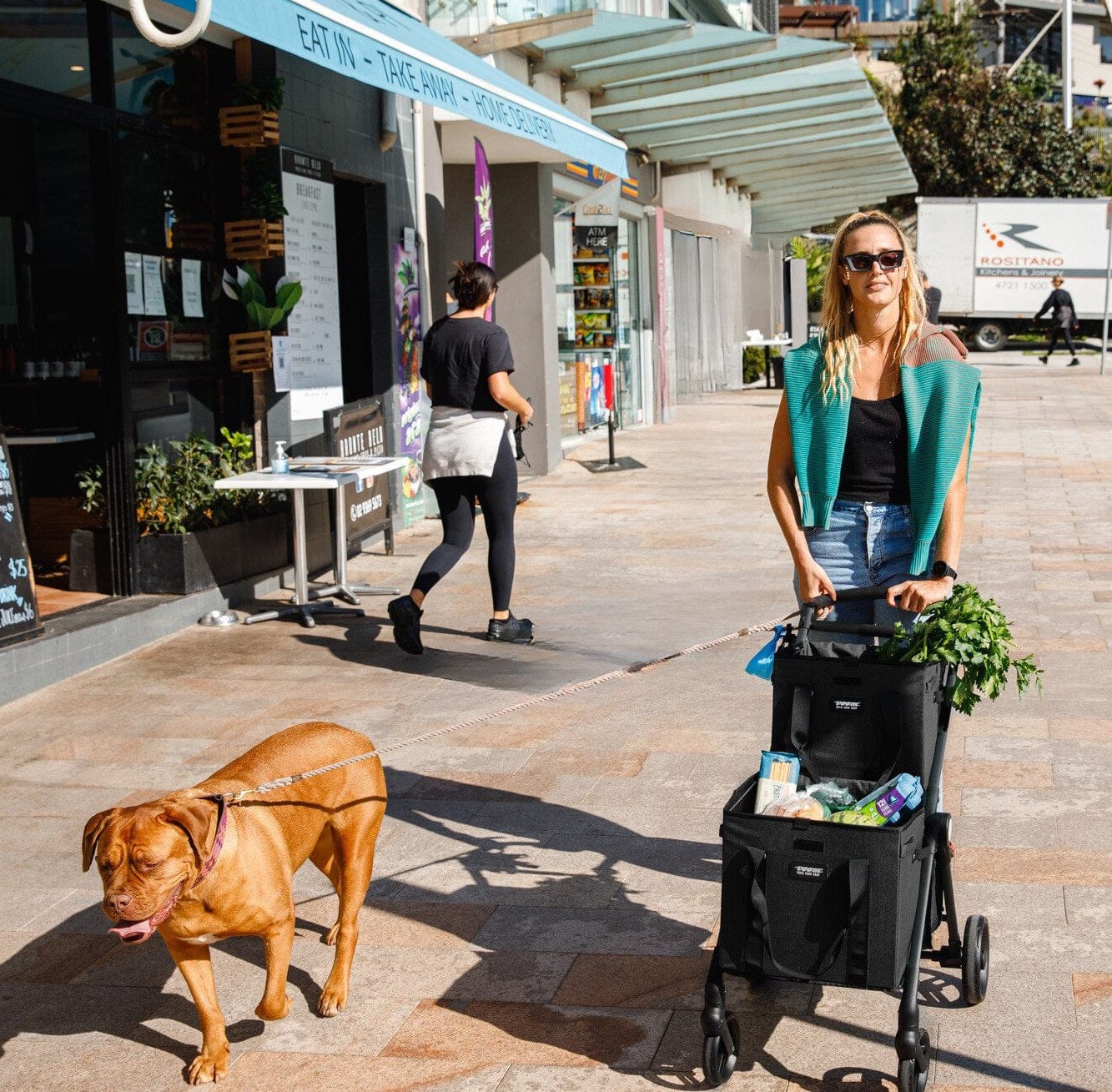 VOOMcart market shopping with dog